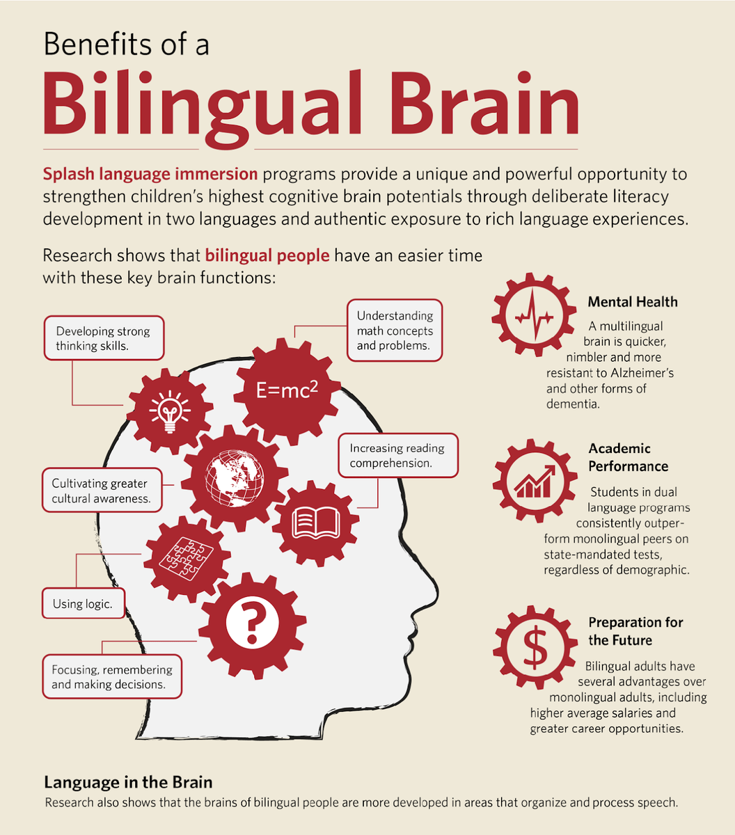 A chart showing all the benefits of a bilingual brain