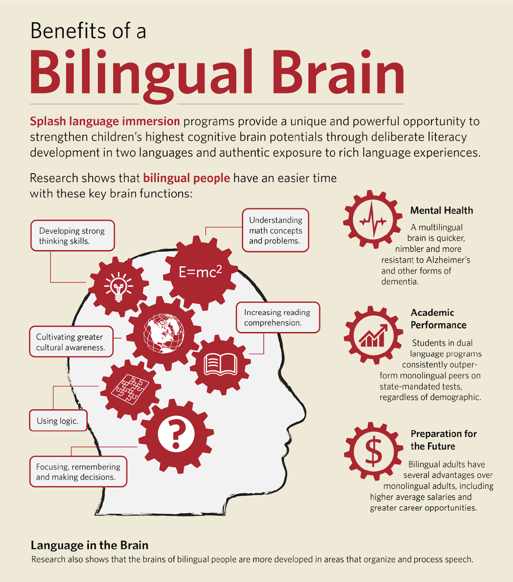 Bilingual Brain A chart showing all the benefits of a bilingual brain